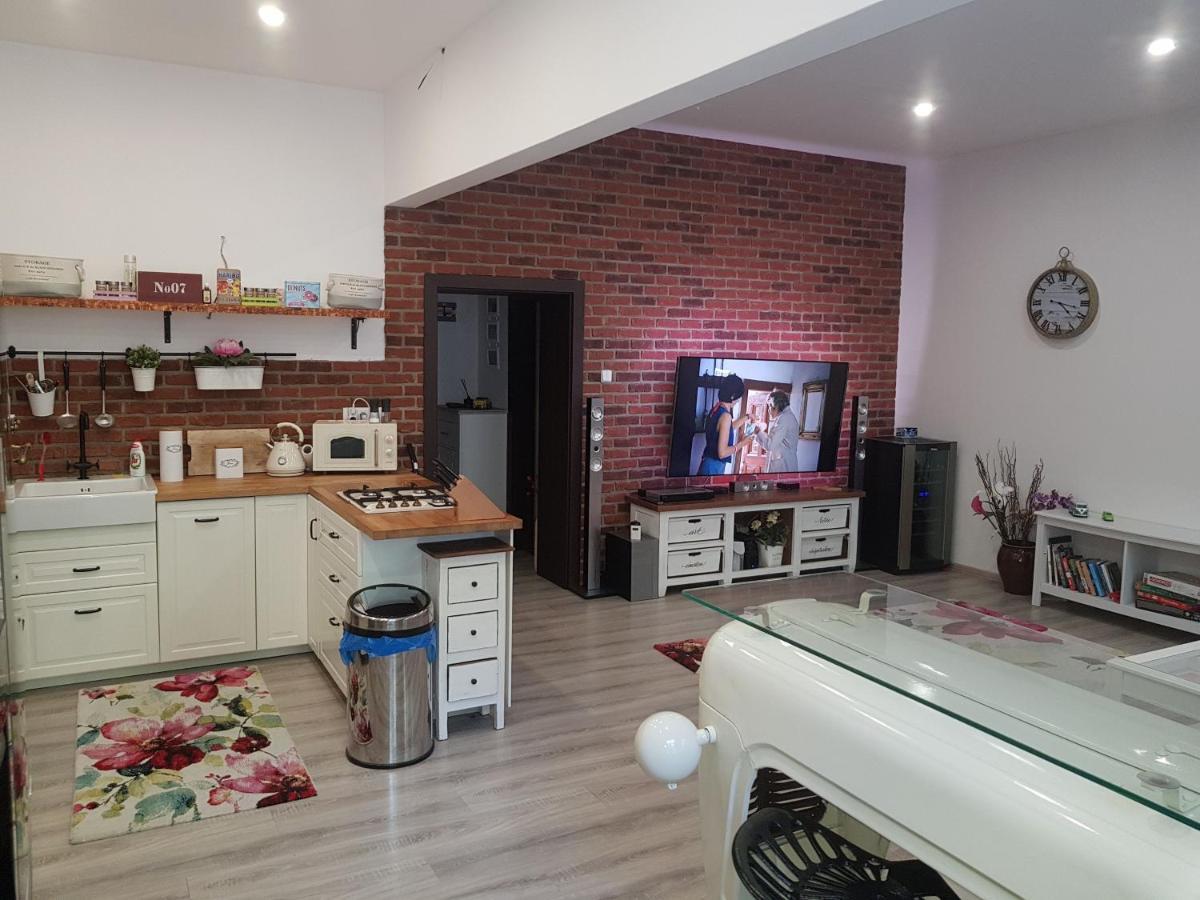 Apartman Karlovy Vary 아파트 외부 사진