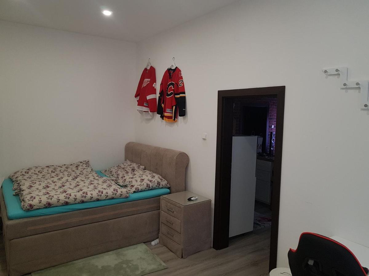Apartman Karlovy Vary 아파트 외부 사진